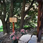 Casa Sull'albero Awen Del Casale Labandita Hétvégi ház *