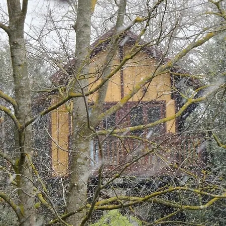 Casa Sull'albero Awen - *