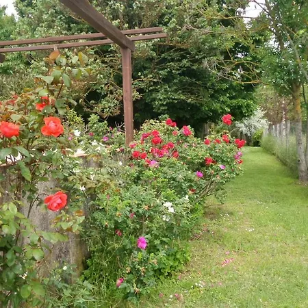 Casa rural Casa Sull'albero Awen - Castiglione del Lago