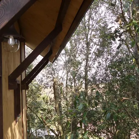 Casa Sull'albero Awen Del Casale Labandita Country house *