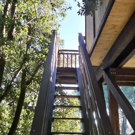 Casa Sull'albero Awen Del Casale Labandita * Castiglione del Lago