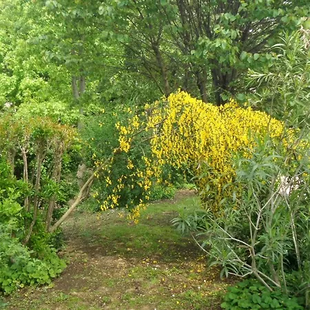 Casa Sull'albero Awen - Casa rural Castiglione del Lago