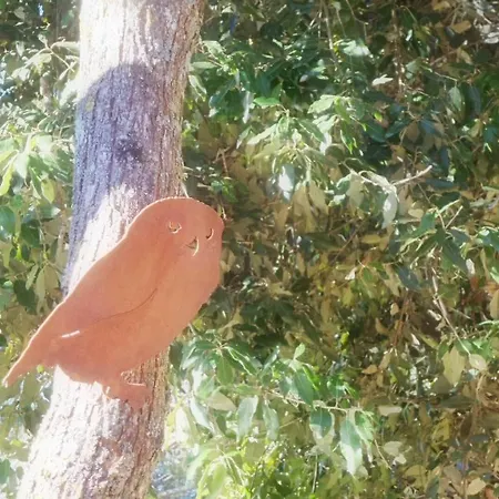 Casa Sull'albero Awen Del Casale Labandita Venkovský dům *
