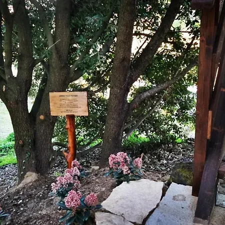 Casa Sull'albero Awen Del Casale Labandita Venkovský dům *