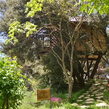 Casa Sull'albero Awen Del Casale Labandita *