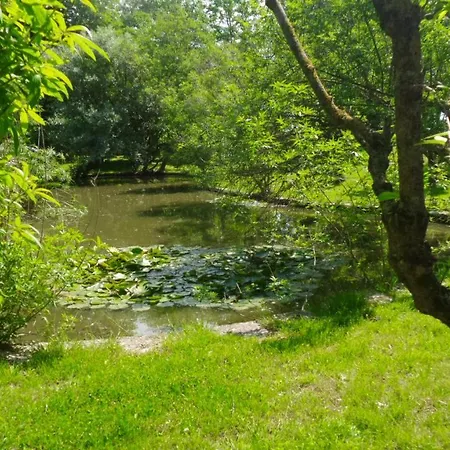 Casa Sull'albero Awen Del Casale Labandita Country house *