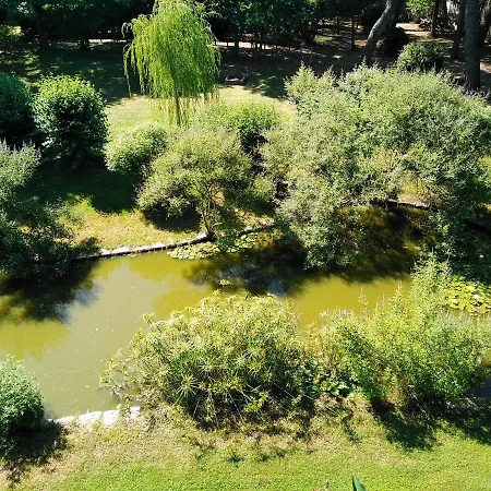Casa Sull'albero Awen Del Casale Labandita Venkovský dům *
