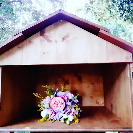 Casa Sull'albero Awen - *