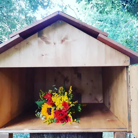 Casa Sull'albero Awen - Casa rural *