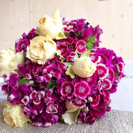 Casa Sull'albero Awen Del Casale Labandita * Castiglione del Lago