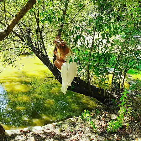 Venkovský dům Casa Sull'albero Awen Del Casale Labandita Castiglione del Lago