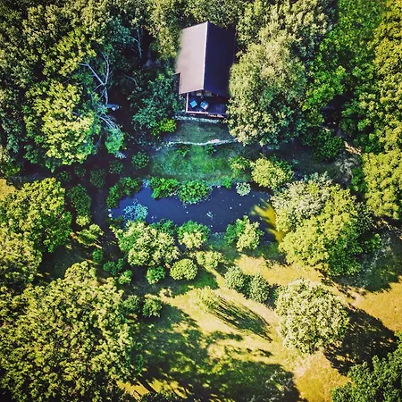 Casa Sull'albero Awen Del Casale Labandita * Castiglione del Lago